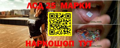 сатива Новозыбков