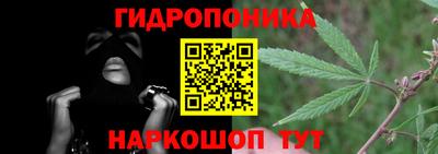 сатива Новозыбков