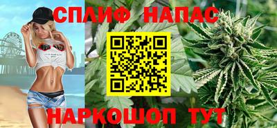 сатива Новозыбков