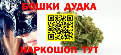 сатива Новозыбков