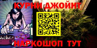 сатива Новозыбков