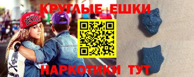 сатива Новозыбков
