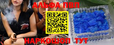 сатива Новозыбков