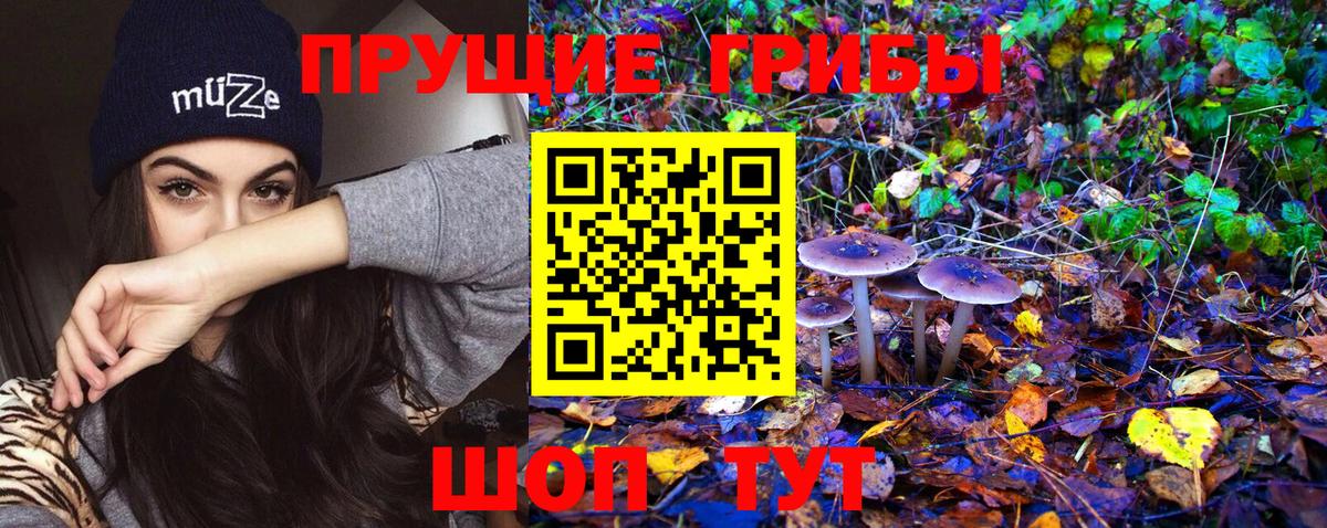 Псилоцибиновые грибы ЛСД Тосно
